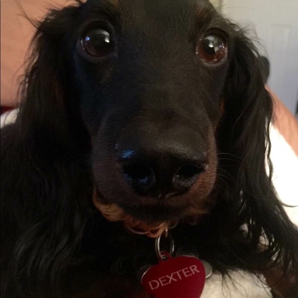 Tag me! I'm always looking! 😎 - Picture 5 of 6